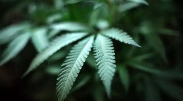 Screenshot 2020-12-04 at 11.10.15