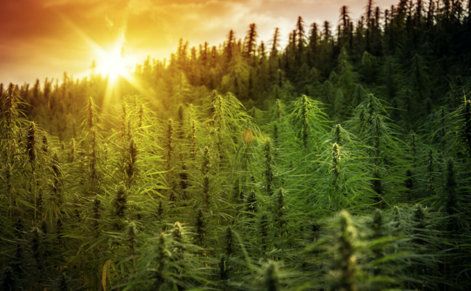 Screenshot 2021-01-26 at 12.32.52