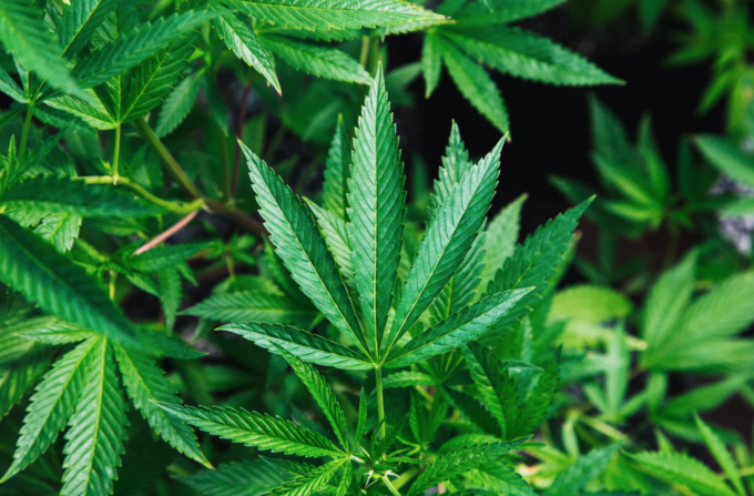 Screenshot 2021-04-06 at 15.00.22