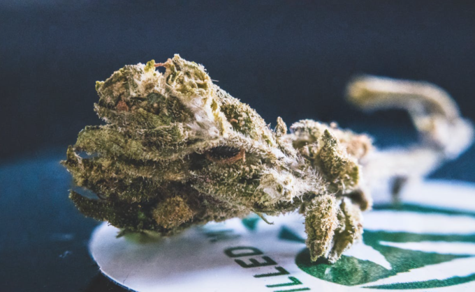 Screenshot 2022-07-21 at 11.15.32