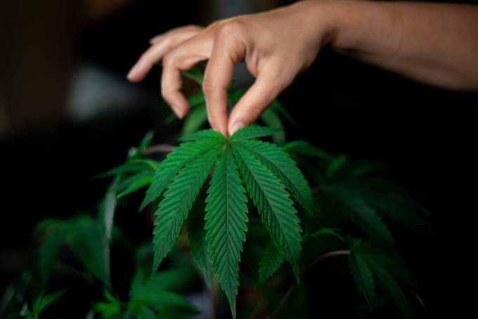 Screenshot 2022-02-17 at 12.37.43