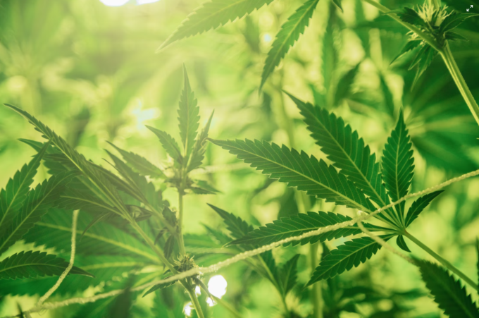 Screenshot 2022-02-24 at 11.25.09