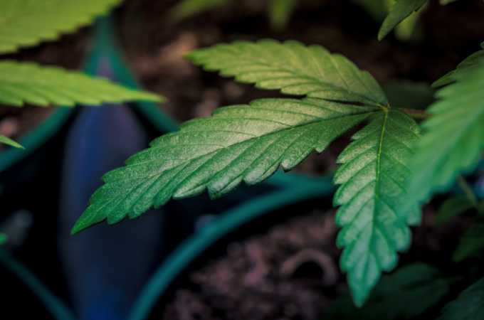 Screenshot 2022-03-02 at 12.29.05