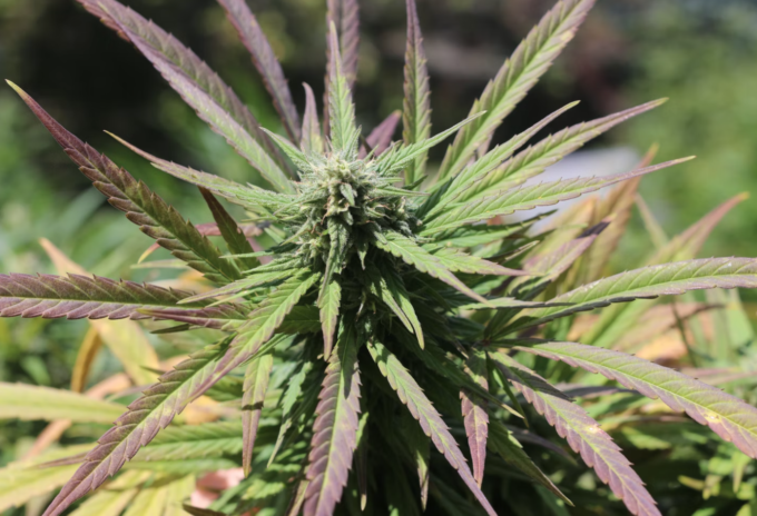 Screenshot 2022-03-21 at 14.21.19