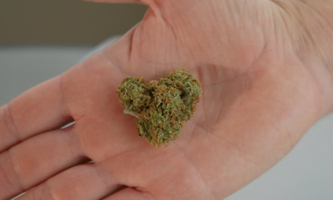 Screenshot 2022-03-29 at 13.26.44