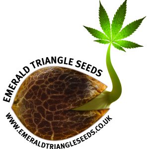 Emerald Triangle Seeds